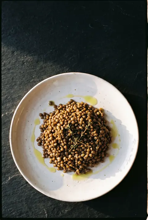 A portion of cooked brown lentils on a white plate