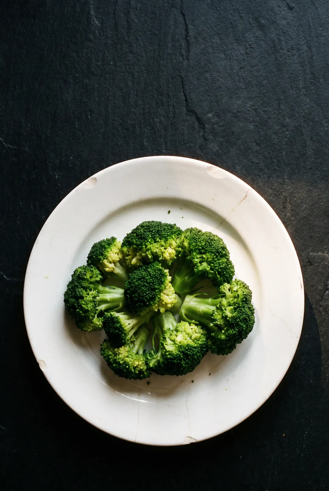 A portion of steamed broccoli florets on a white plate